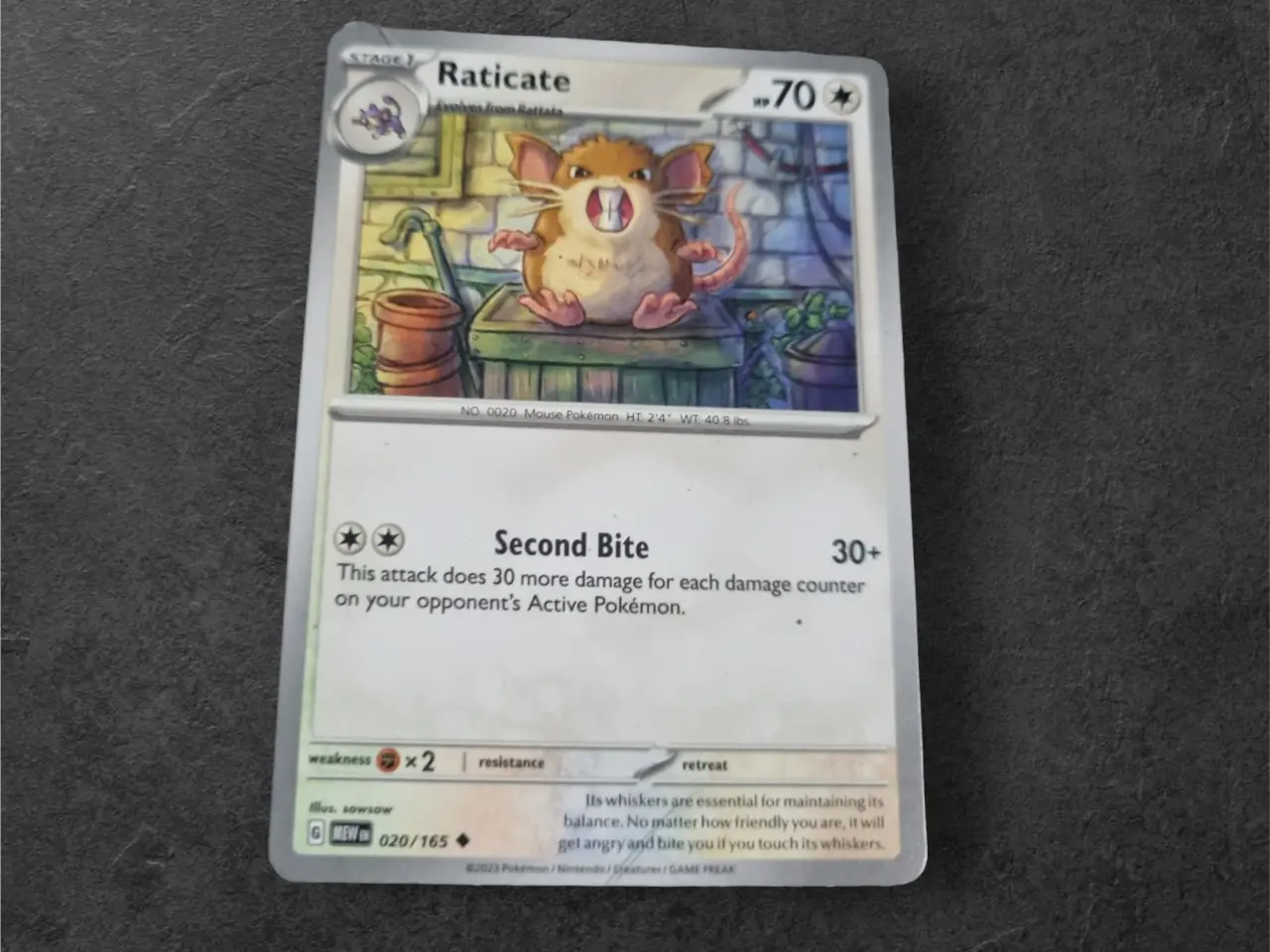 Billede 13 - Annonce 653 - Pokemon