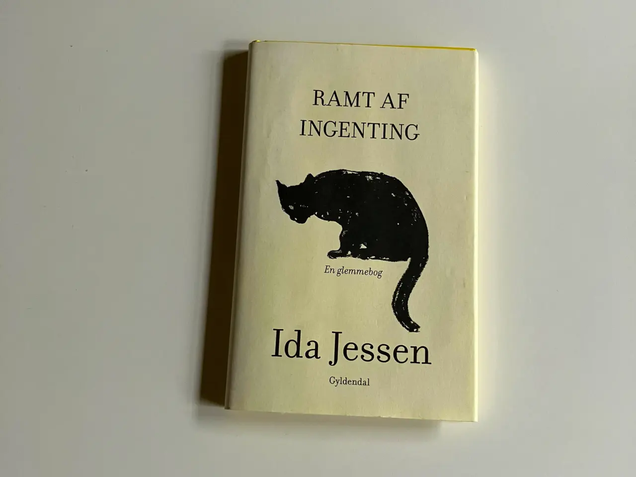 Billede 1 - Ramt af ingenting - en glemmebog. Af Ida Jessen