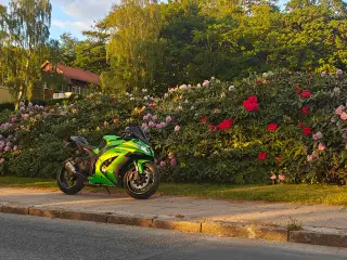 ZX10R med Unik Farve