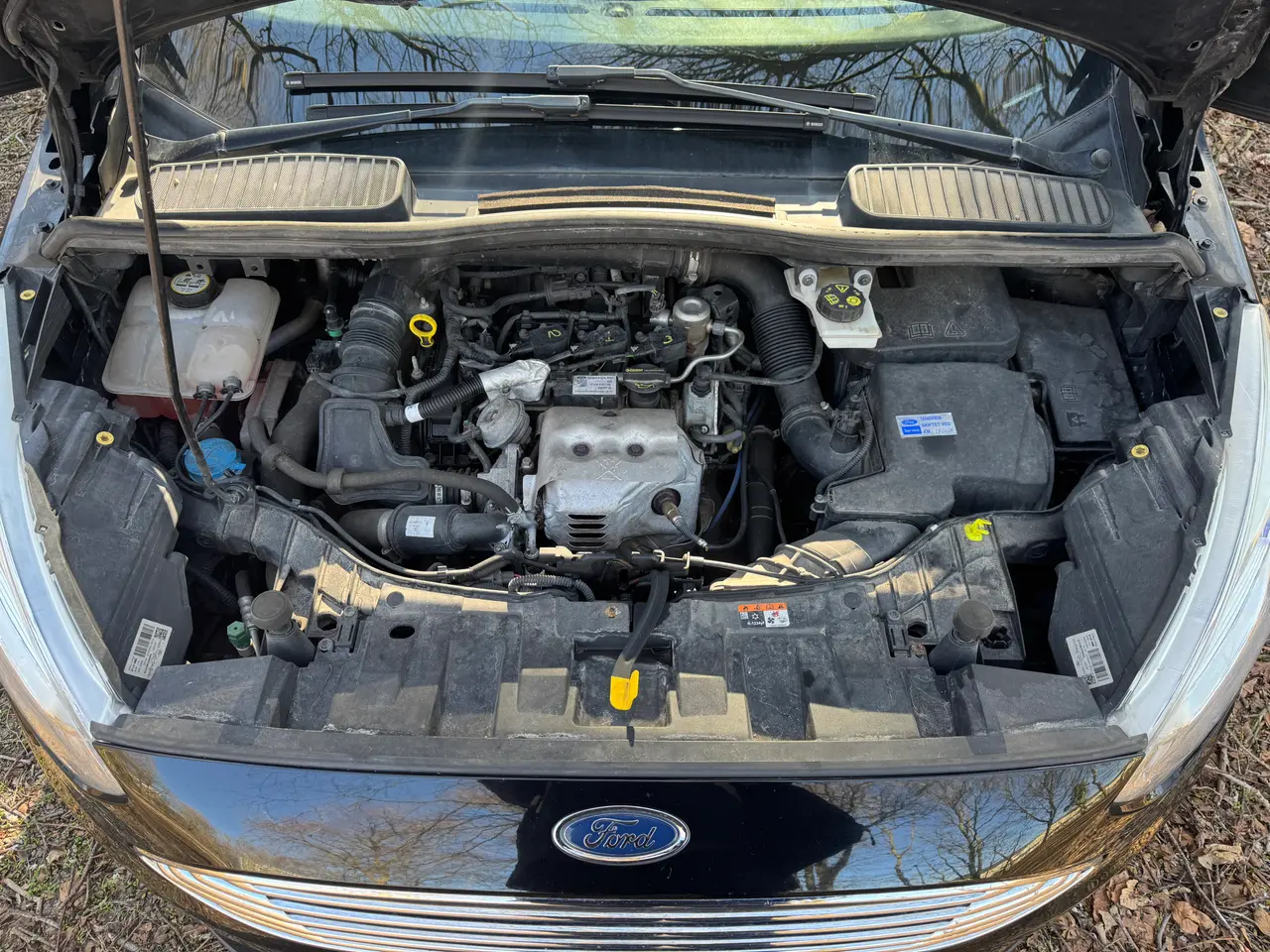 Billede 14 - Ford C-Max, 1.0 Ecoboost (125 Hk)