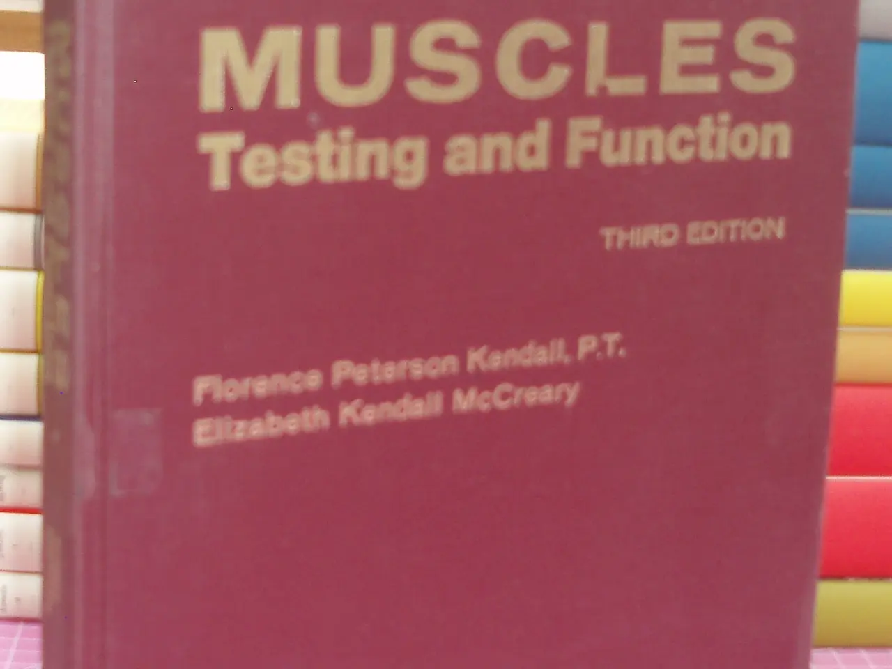 Billede 1 - Muscles testing and function Third edition