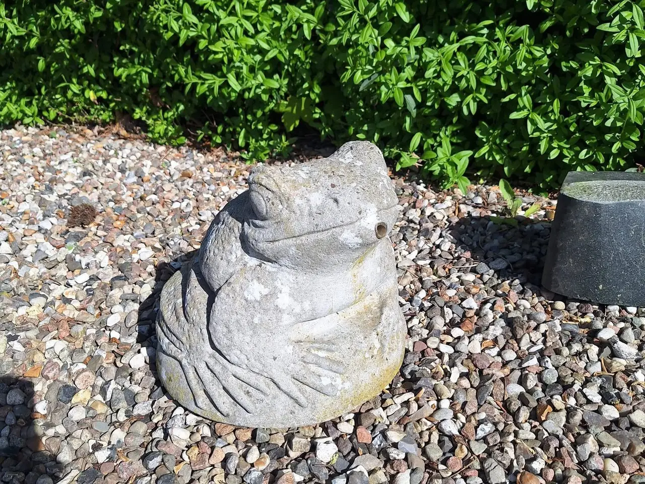 Billede 2 - Granitvandsten, stenfrø og ældre fodertrug