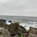 Lasseochr