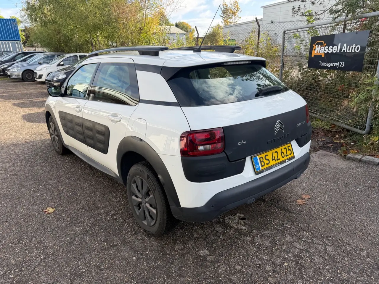 Billede 3 - Citroën C4 Cactus 1,6 BlueHDi 100 Challenge
