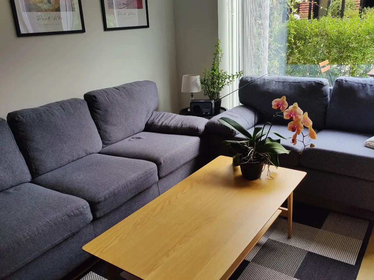 Billede 1 - 2 + 3 personers sofa 