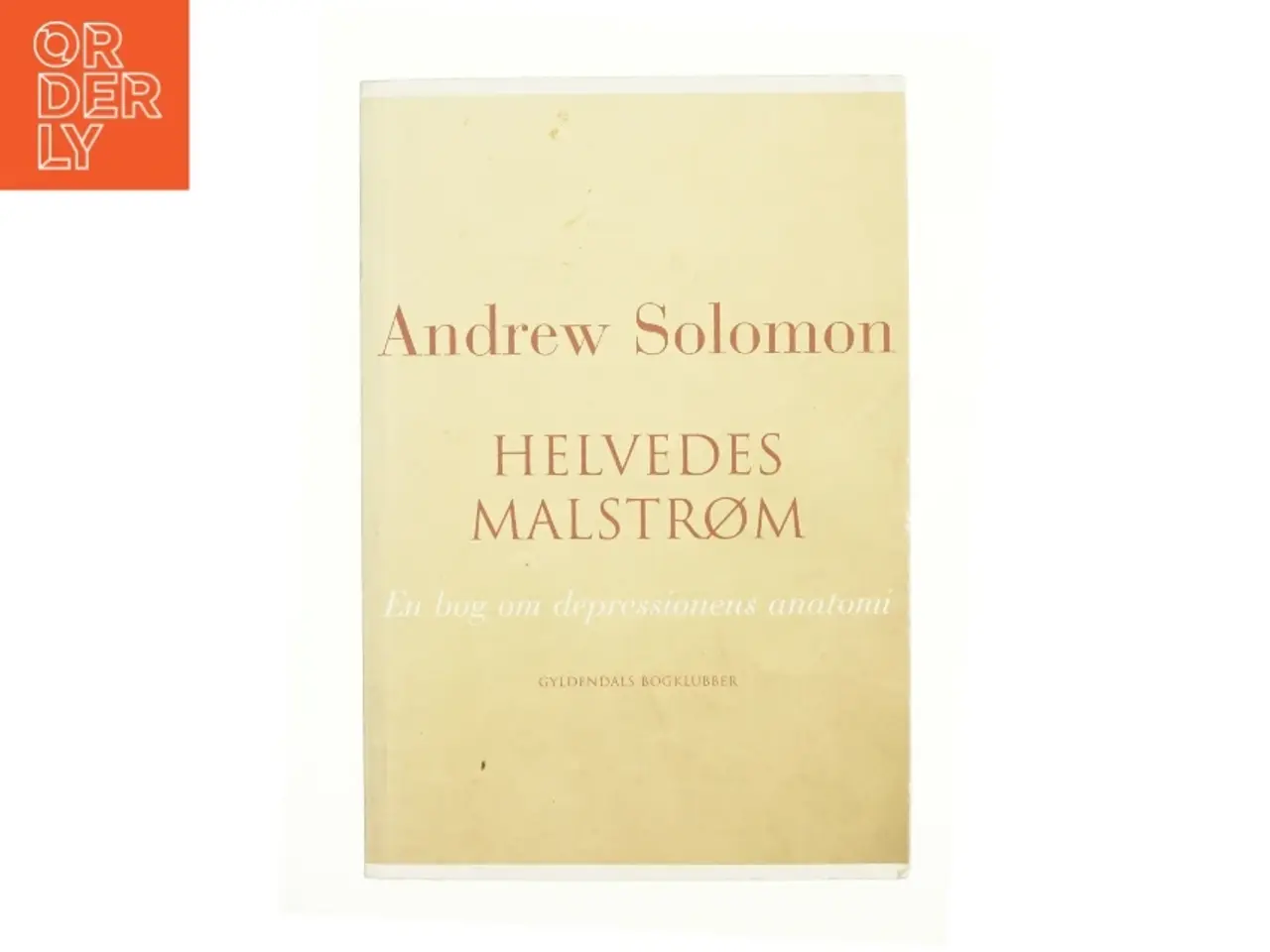 Billede 1 - Helvedes malstrøm : en bog om depressionens anatomi af Andrew Solomon (Bog)