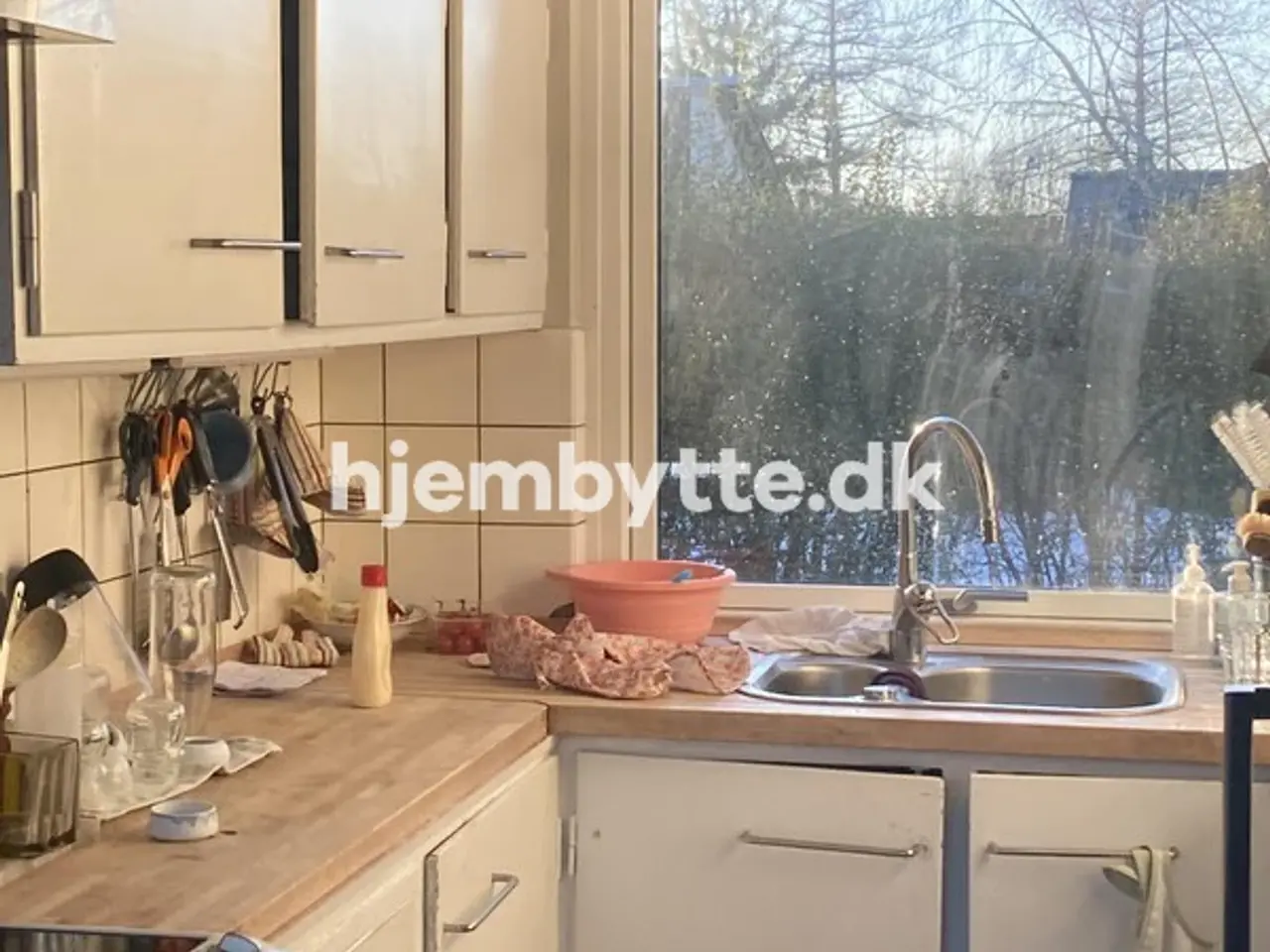 Billede 5 - Hjembytte - Æblerosestien