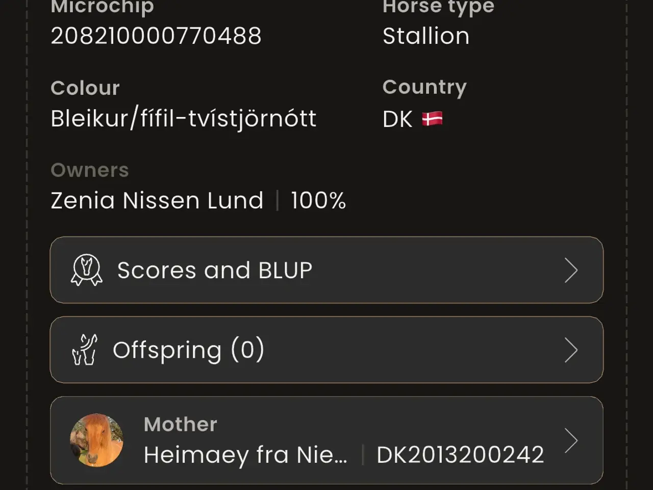 Billede 4 - Islænder