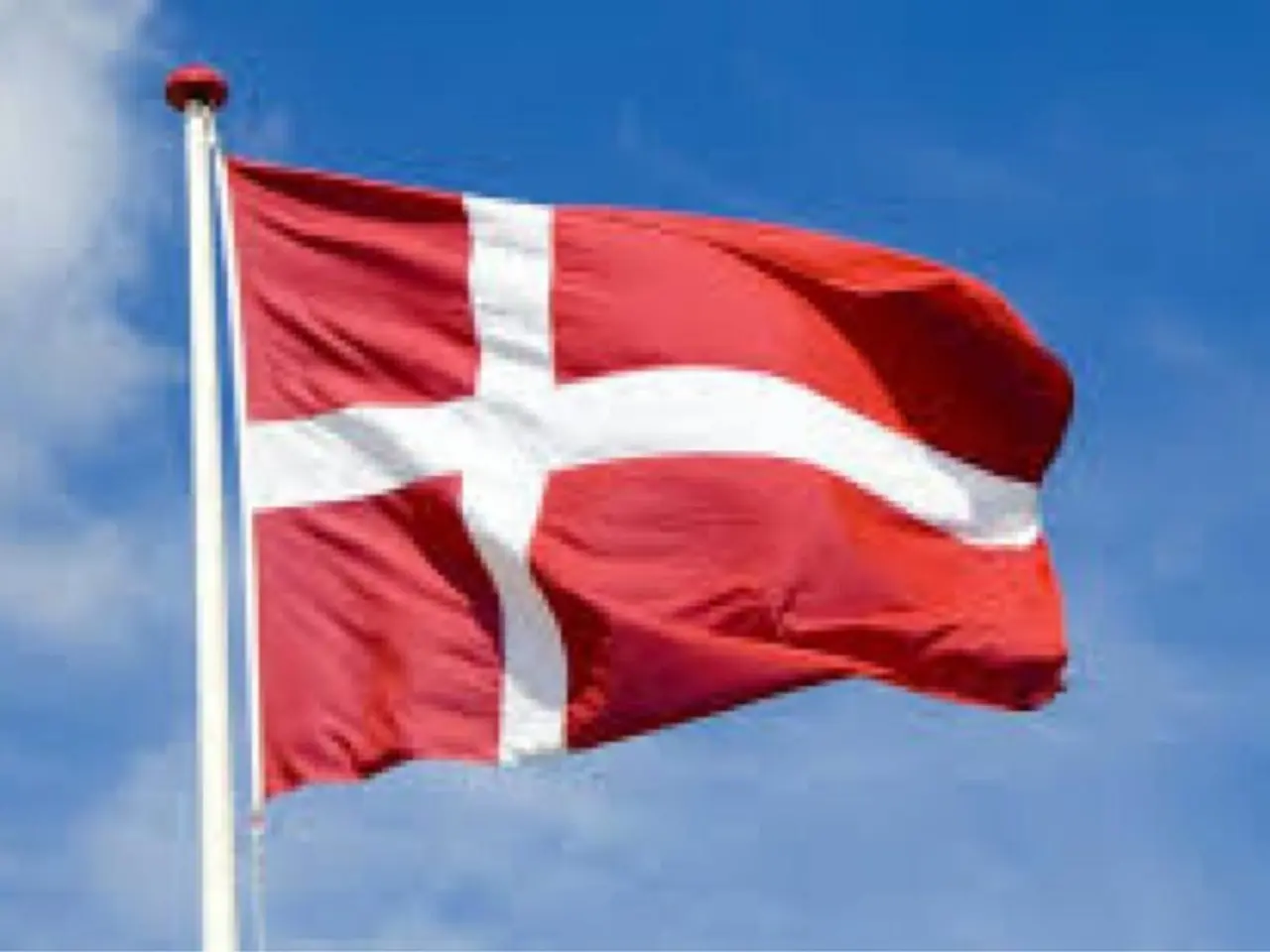 Billede 2 - Dannebrog / dansk flag 60x90 cm