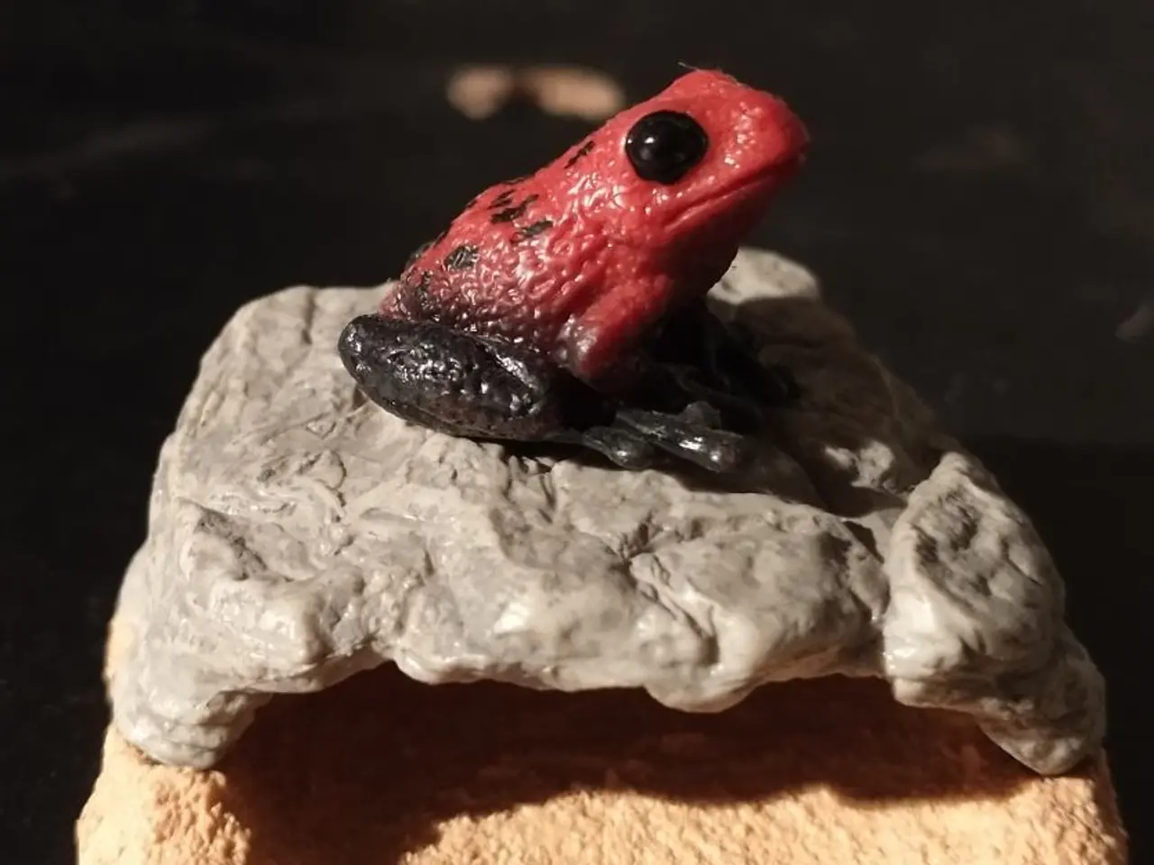 Billede 7 - Schleich Vilde Dyr