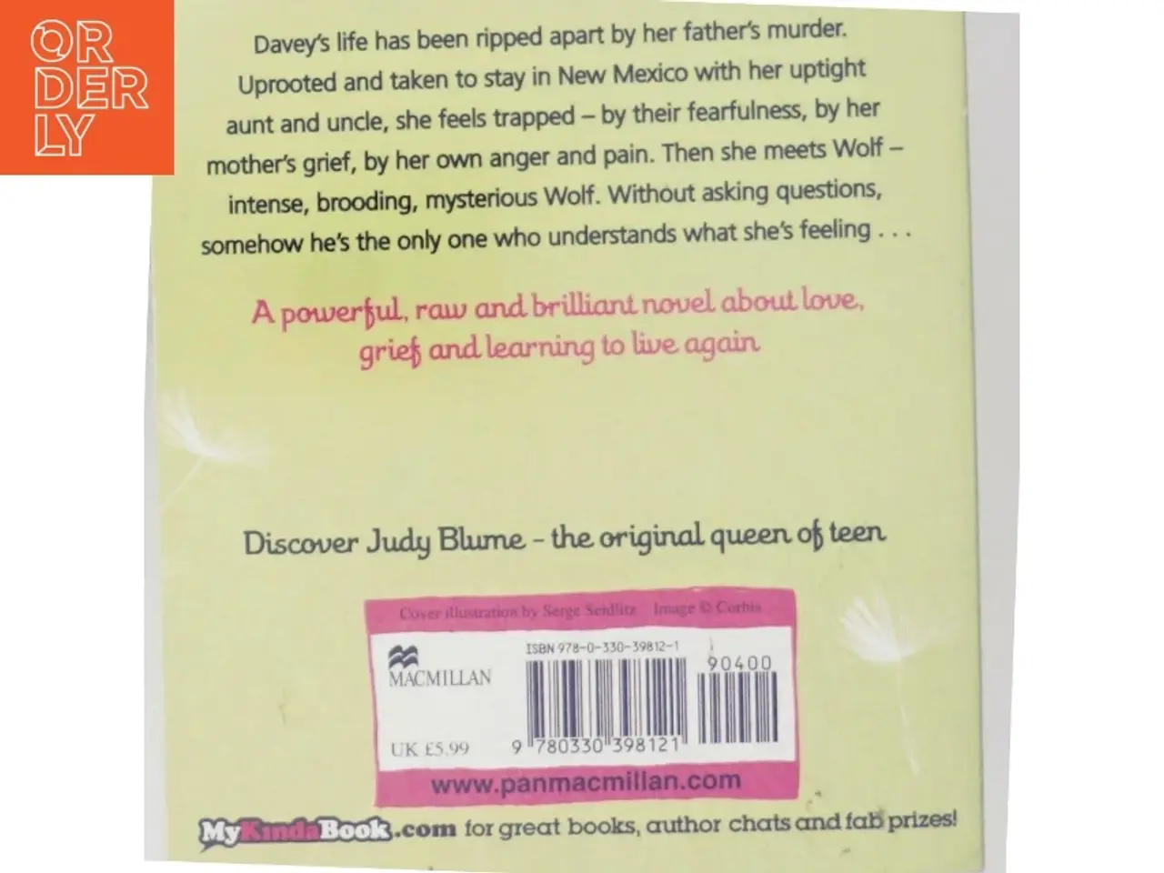 Billede 3 - Tiger Eyes af Jydy Blume (Bog)