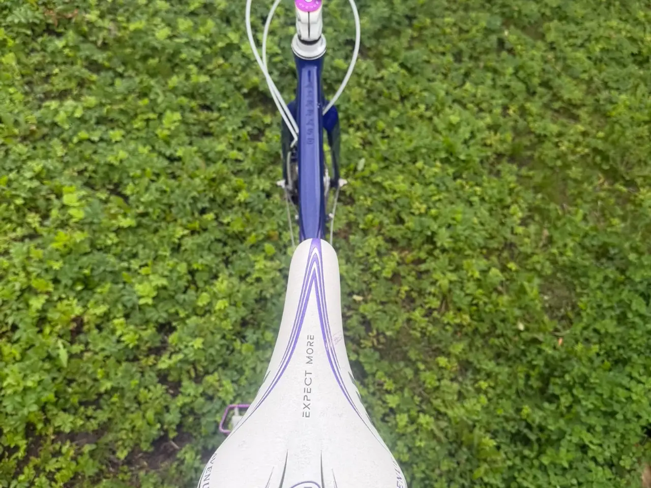 Billede 8 - Flot Avenue damecykel-7 gear 56 cm