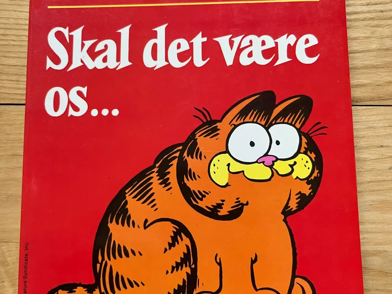 Billede 1 - Garfield “Skal det være os”
