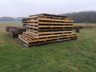Træelementer Store / Solide Stykpris fra