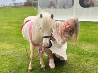 Vanggaardens Prins sælges 