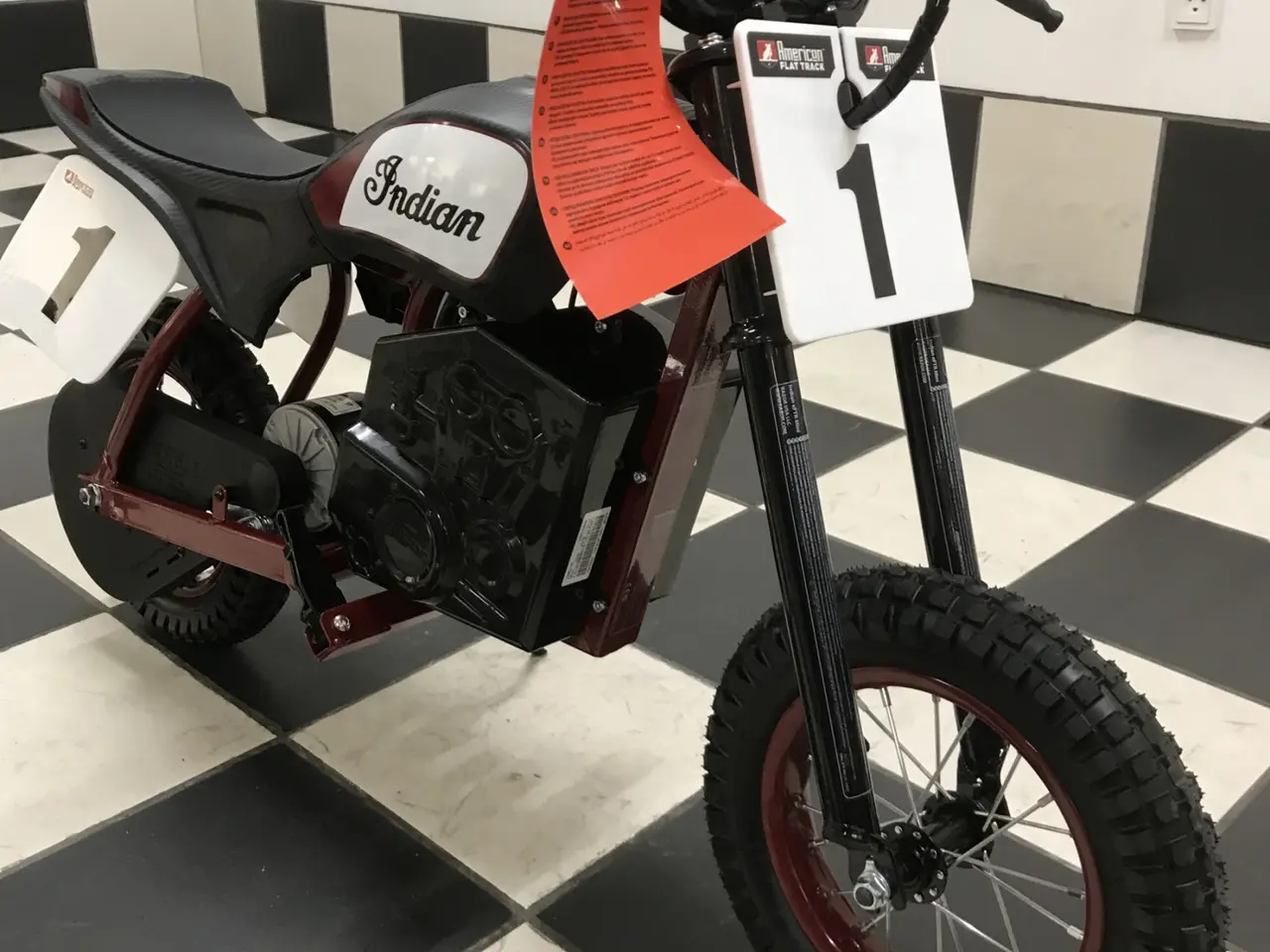Billede 3 - Indian eFTR Mini