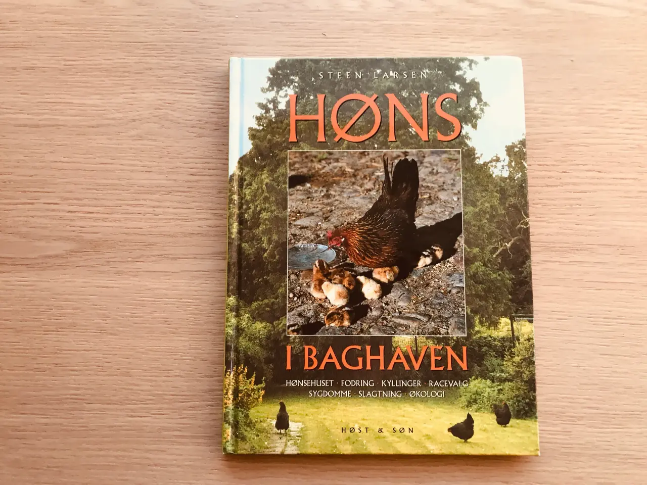 Billede 1 - Høns i Baghaven  af Steen Larsen