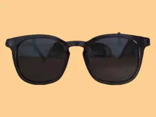 Grå klare/clear Polarized Solbriller