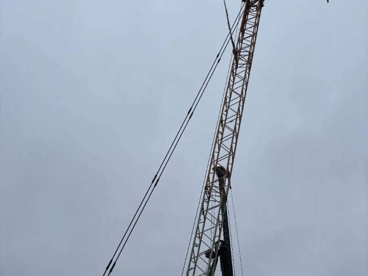 Billede 7 - Liebherr LR 1100