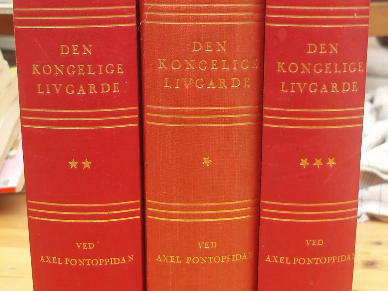 Billede 1 - Den Kongelige Livgarde