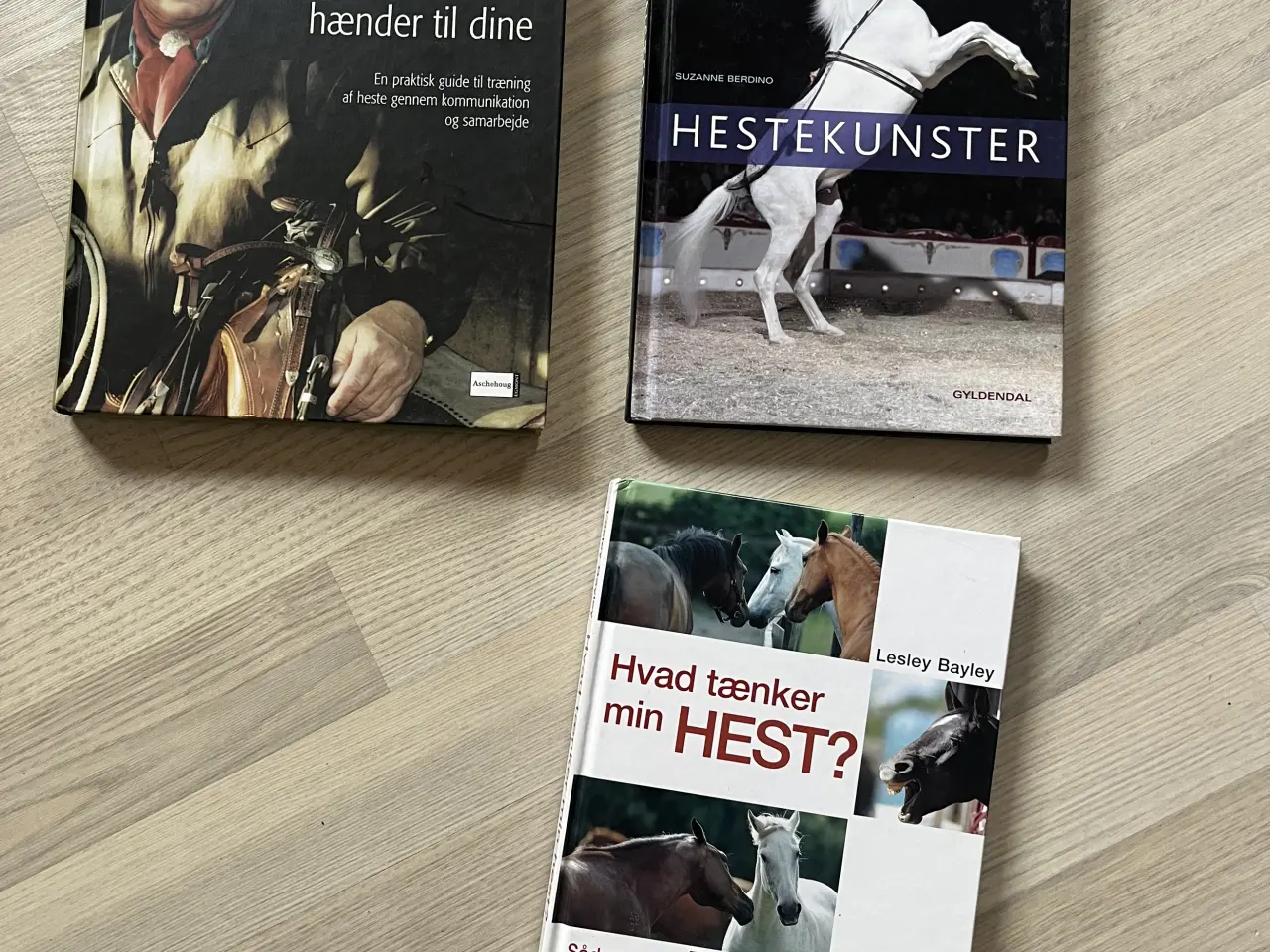 Billede 2 - Heste bøger