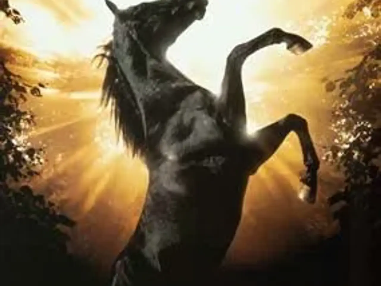 Billede 1 - Hestefilmen over dem alle ; BLACK BEAUTY