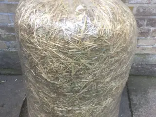Hø