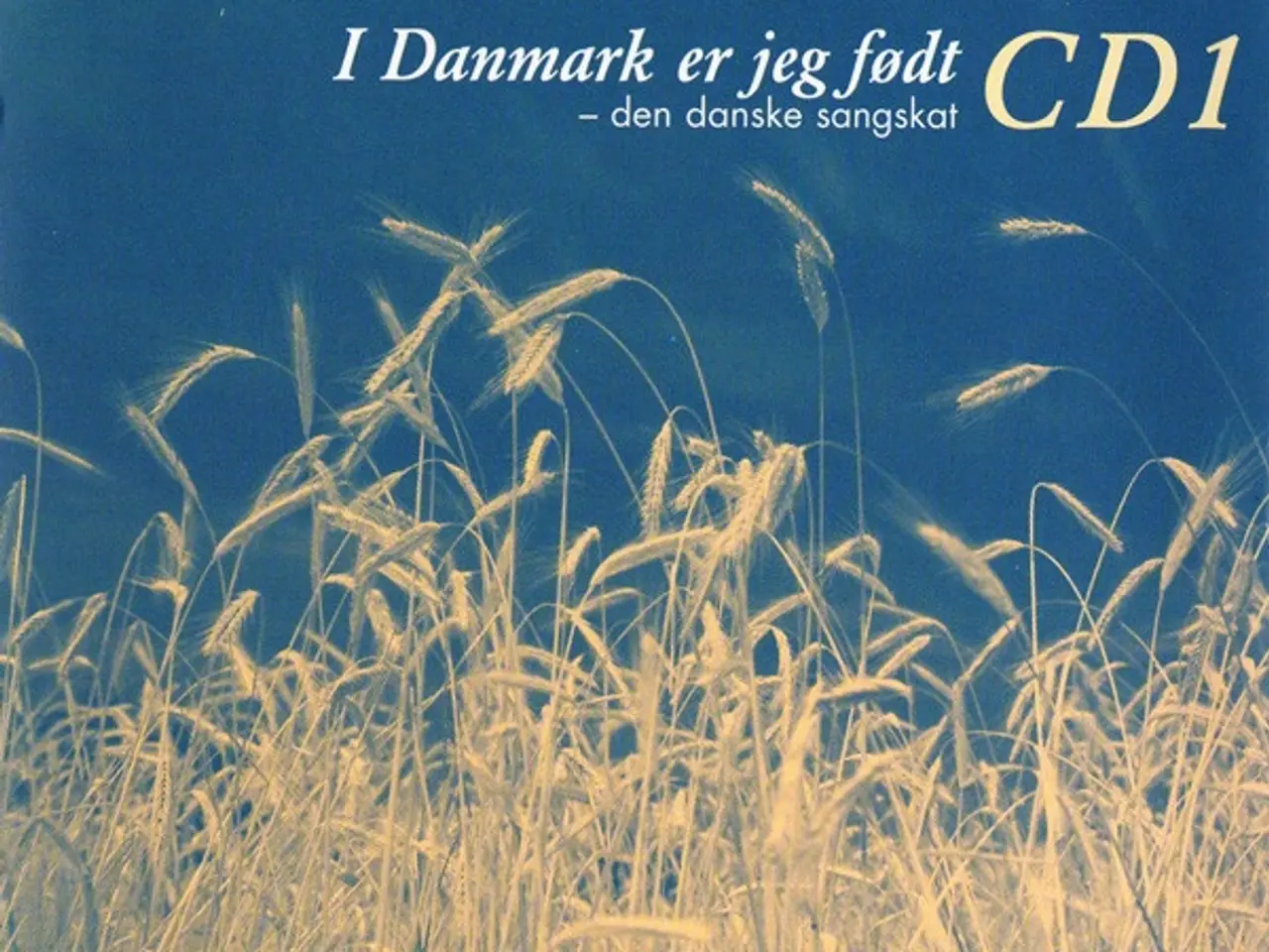 Billede 7 - Diverse kunstnere – I Danmark Er Jeg Født – 2CD