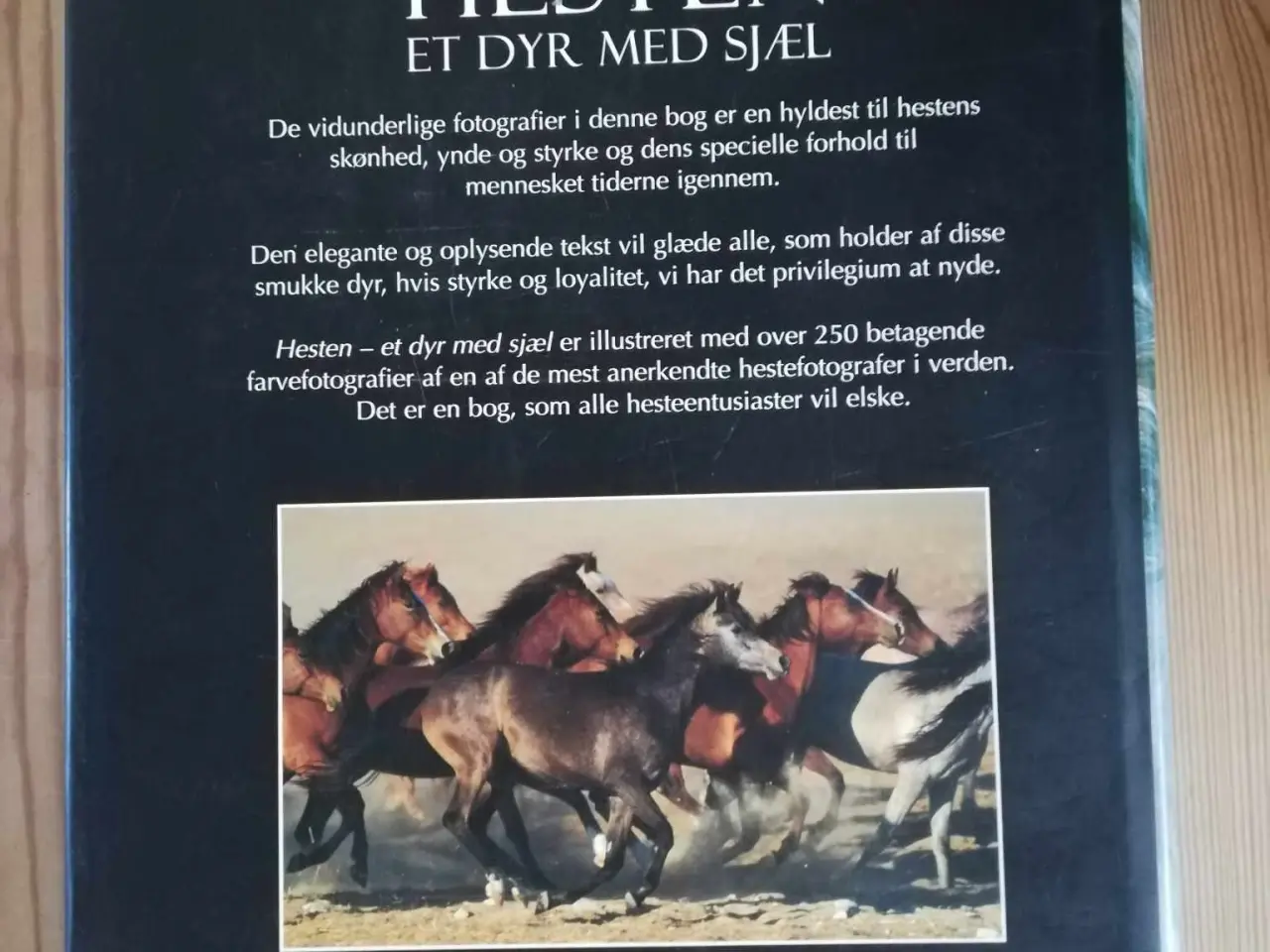 Billede 3 - Hestebøger - fagbøger