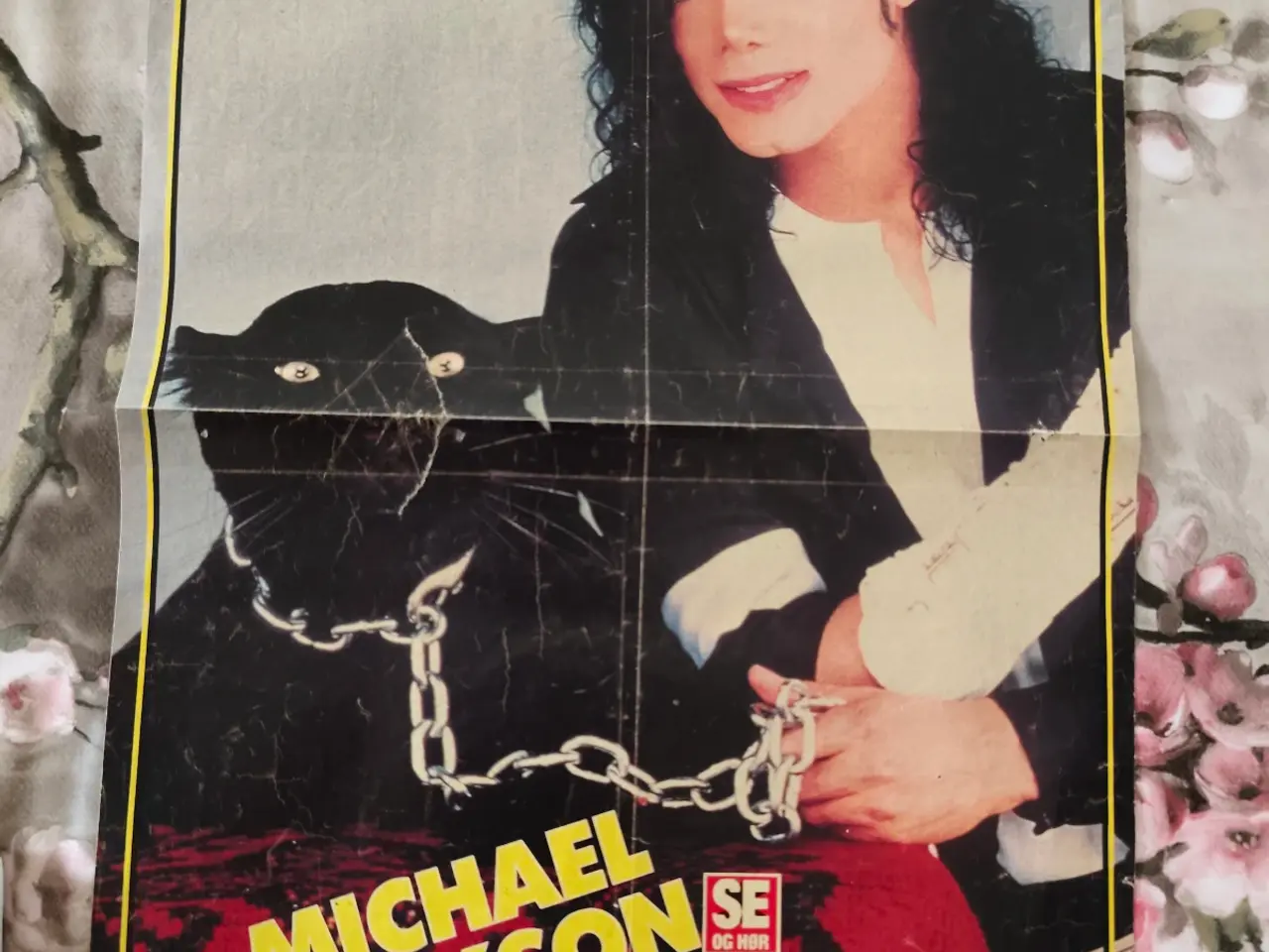 Billede 1 - Se og hør plakat med Michael Jackson