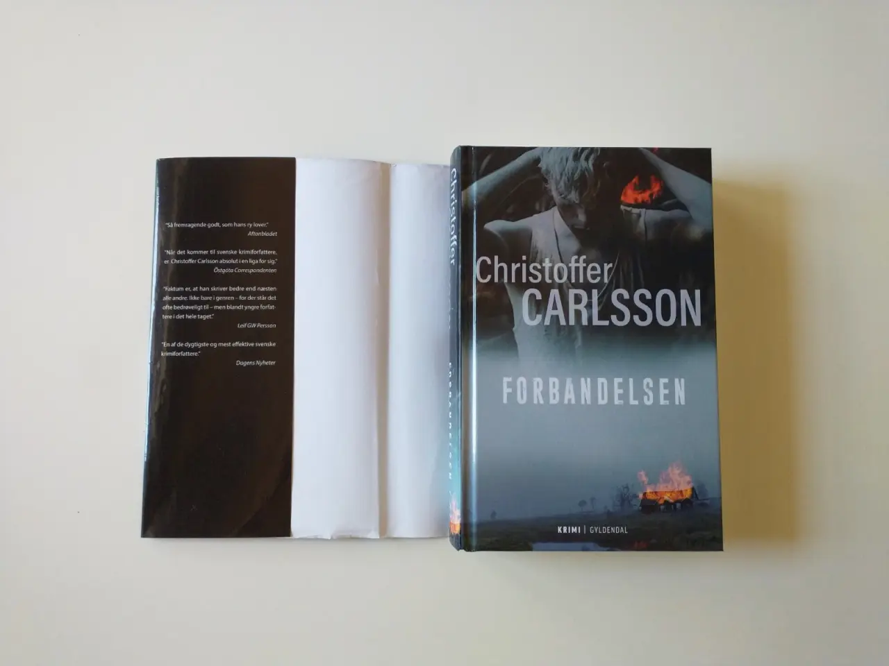 Billede 1 - Forbandelsen. Af Christoffer Carlsson