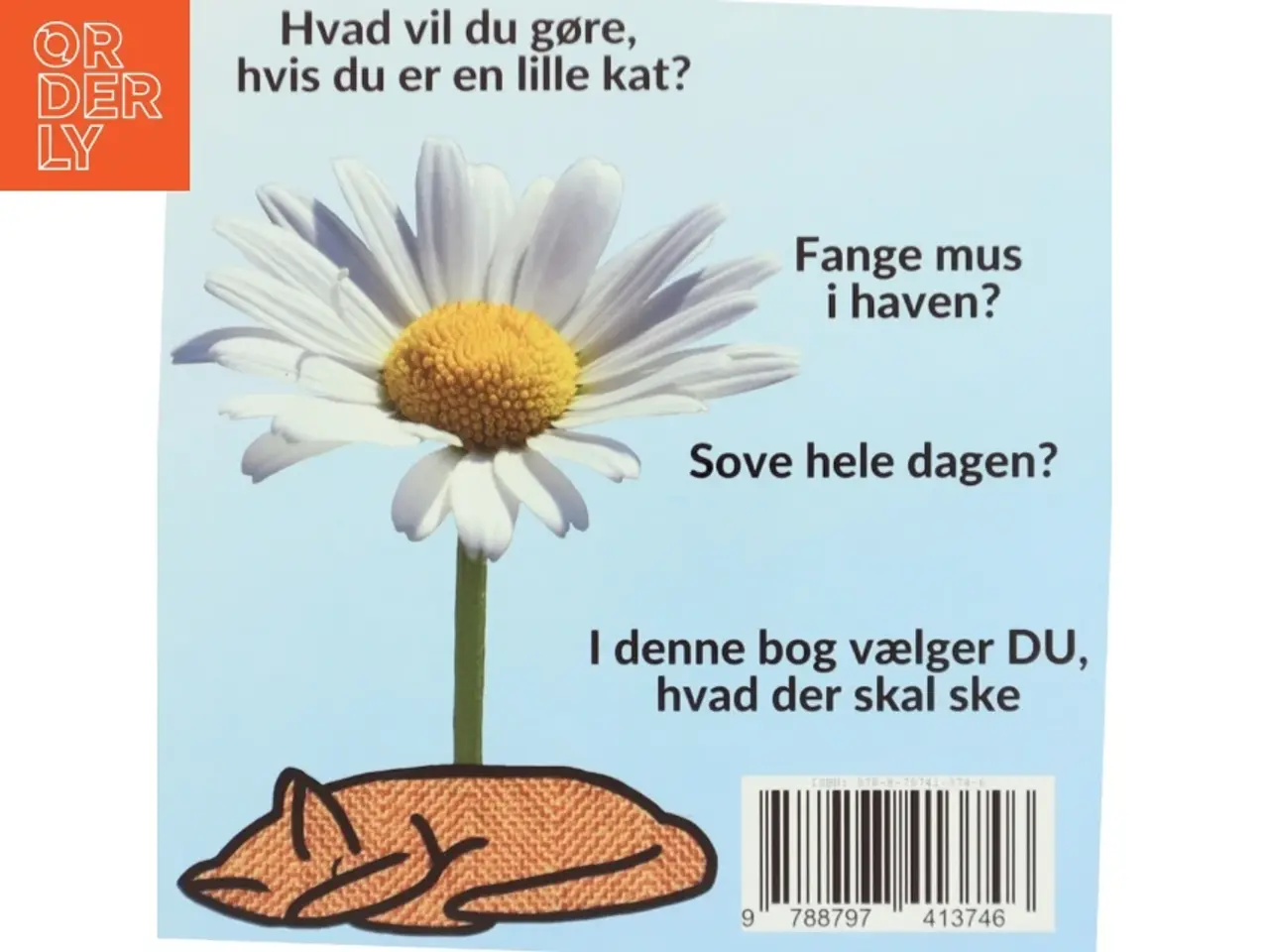 Billede 2 - Hvad vil du, når DU leger kat - af Sarah Kirstein