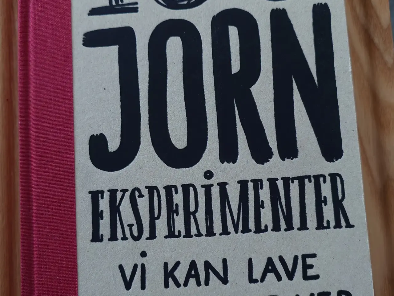 Billede 1 - Asger Jorn 100 hjemme eksperimenter