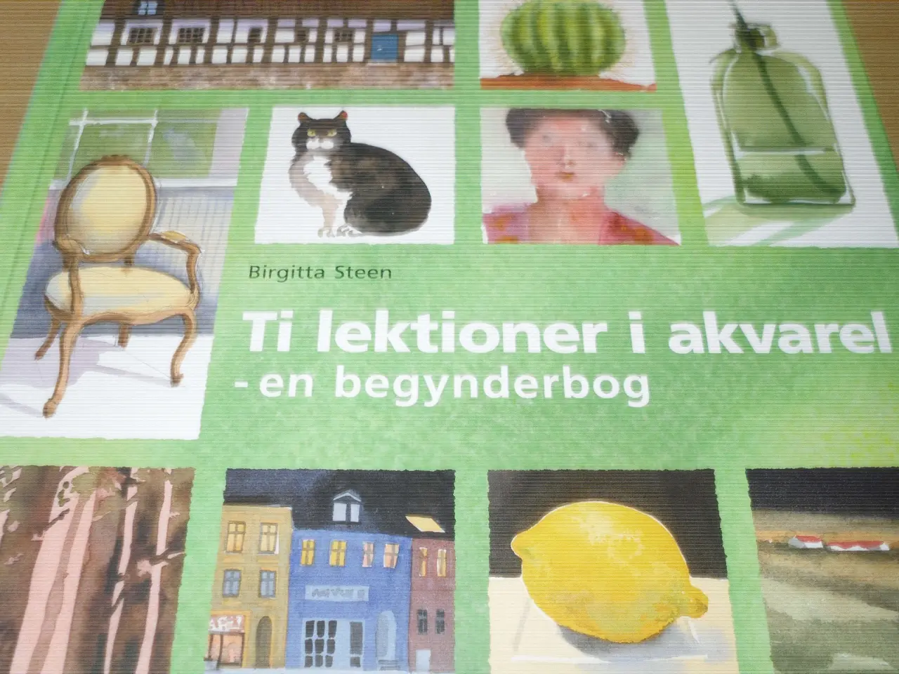 Billede 1 - Birgitta Steen. Ti lektioner i AKVAREL.