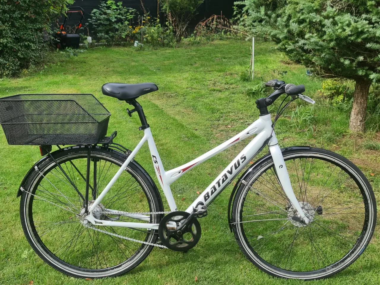 Billede 1 - Damecykel 28", 7 indv.nexus shimano gear
