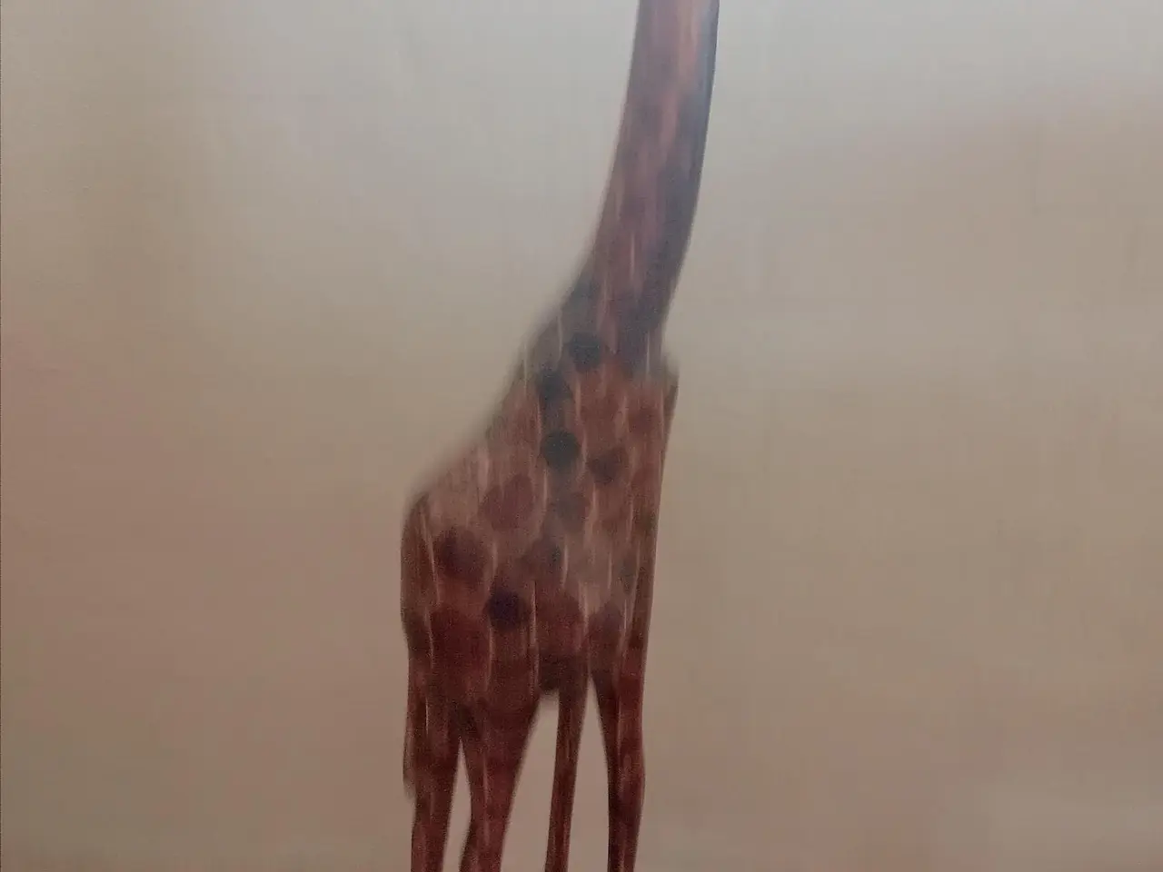 Billede 1 - 12 flotte giraffer udskåret