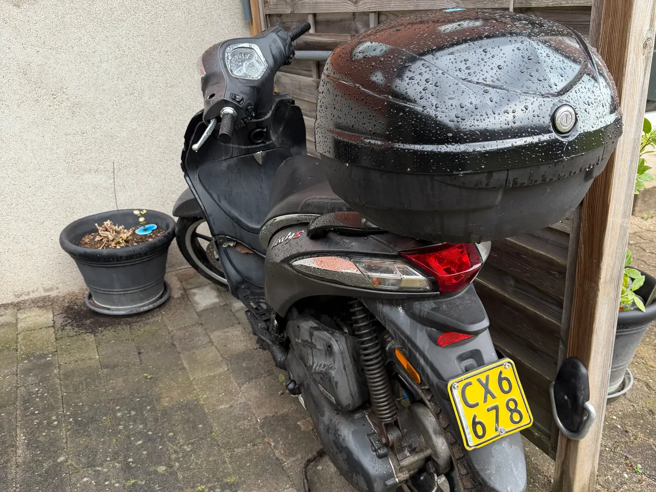 Billede 6 - Piaggio Scooter
