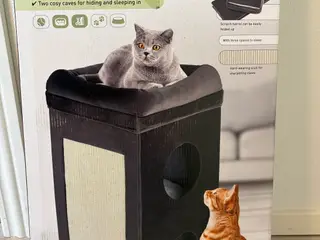 Katte kradse træ 