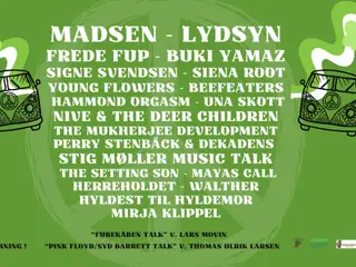 Kun For Forrykte Festival, Stubbekøbing 2026