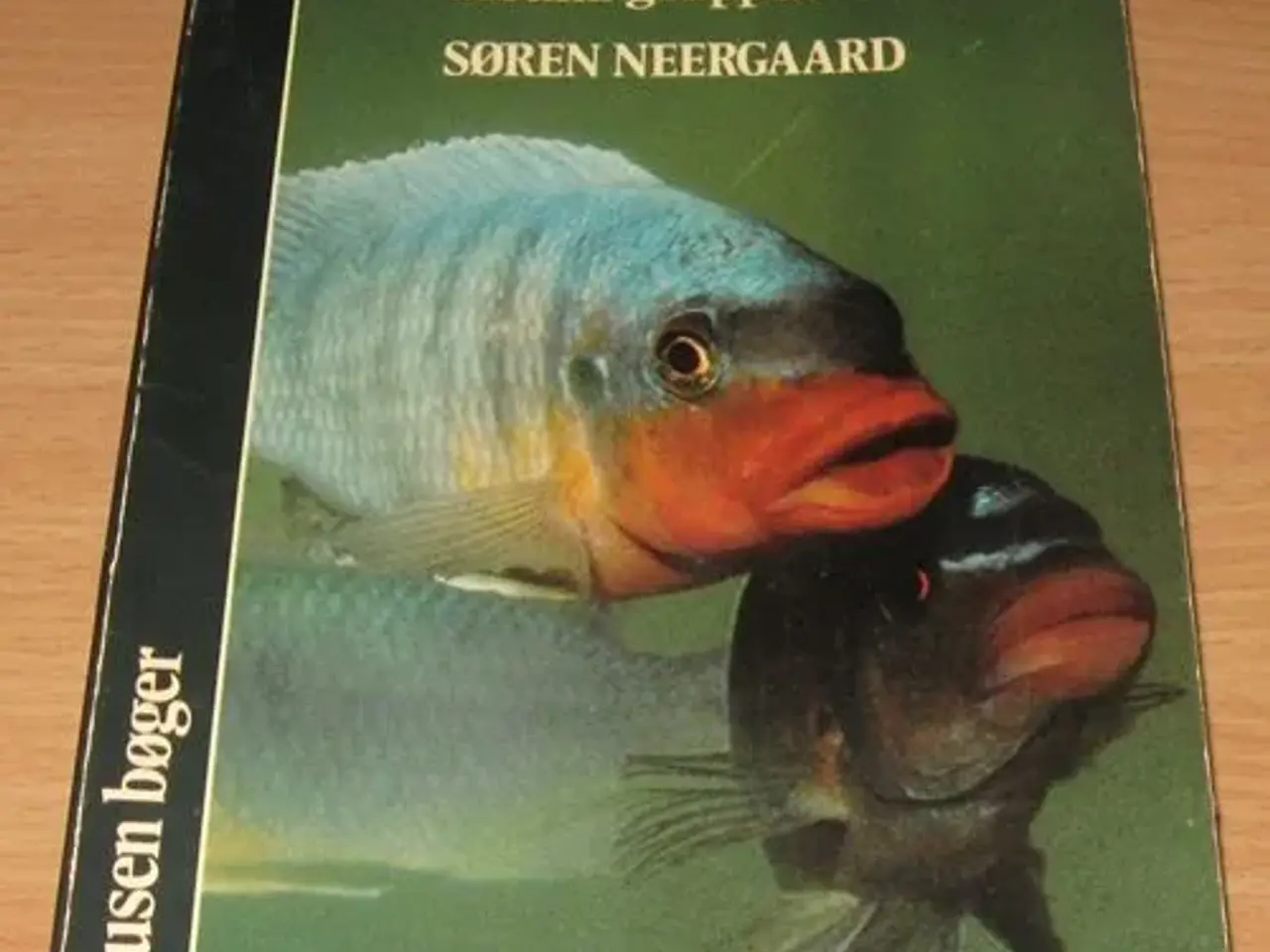 Billede 8 - Malawi Cichlids bøger, tysk - engelsk