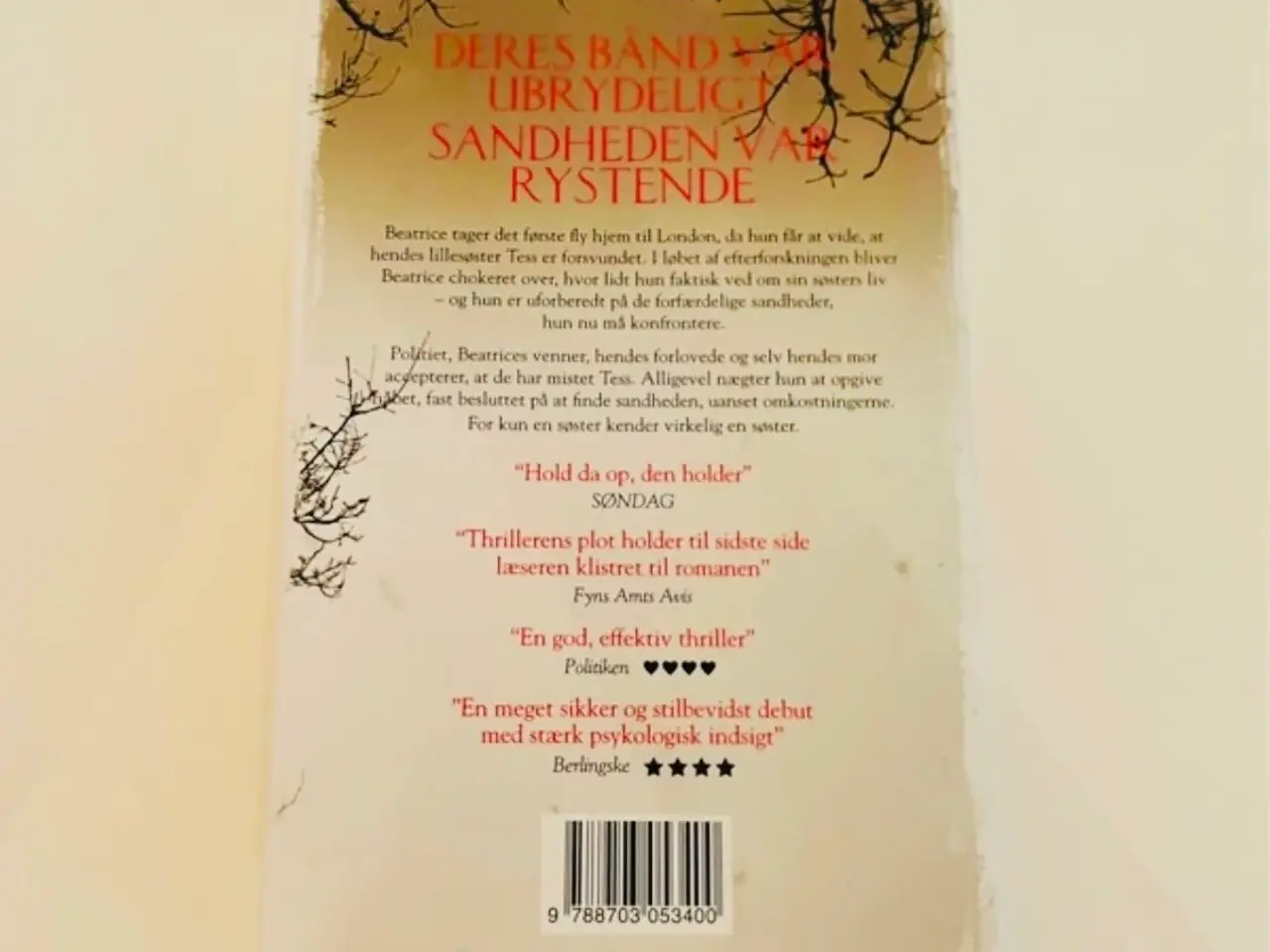 Billede 2 - Søster af Rosamund Lupton