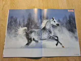 Wendy blad. Nr 1 år 2021