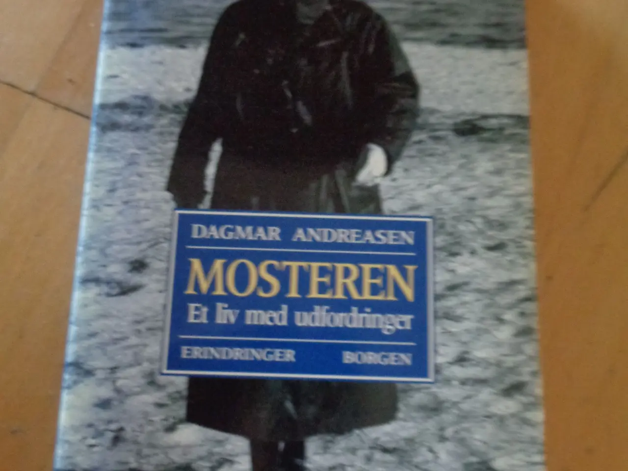 Billede 1 - Mosteren : et liv med udfordringer