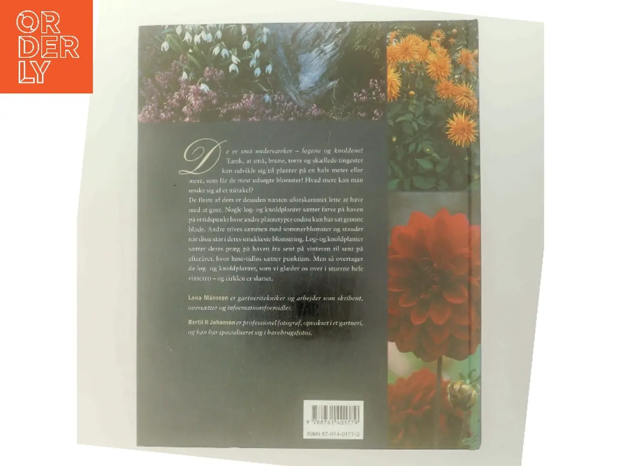 Billede 3 - Blomsterløg & knolde (Bog)