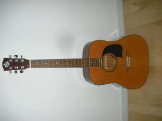 Washburn Akustisk Guitar