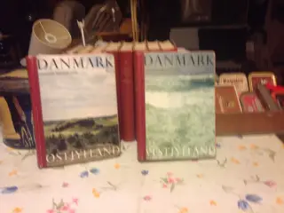 Egnsbeskrivelser Gyldendal 1 til 10
