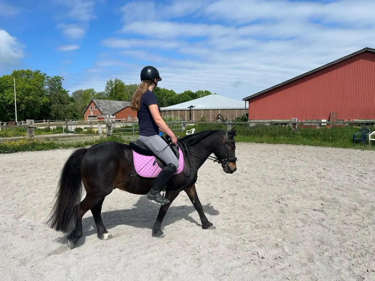 Billede 3 - Sød pony til den lille rytter