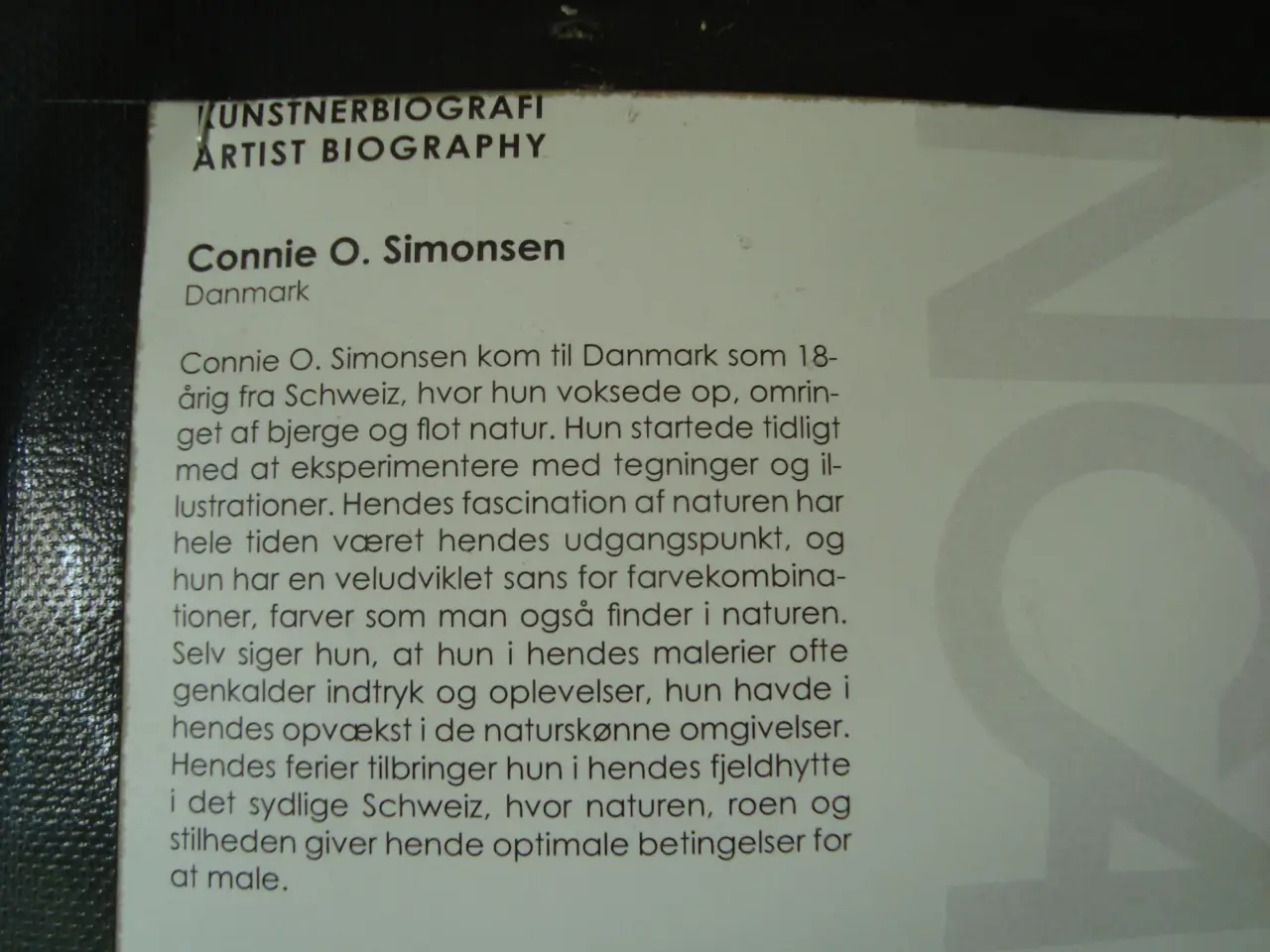 Billede 3 - Stort maleri