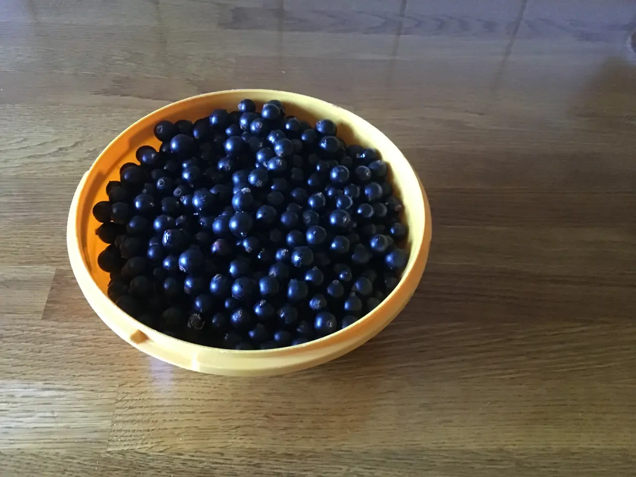 Billede 1 - Solbær, plukkede 1 kg.