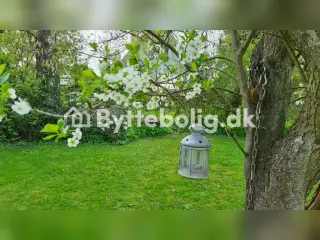 Villa (lejebolig) i Birkerød til bytte i København
